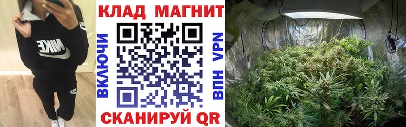 Виды наркоты Чернушка Амфетамин  ГАШИШ  Бошки Шишки  Кокаин  Вейп ТГК  СОЛЬ 