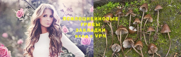 a pvp Арсеньев