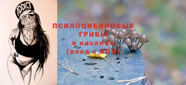 стафф Армянск