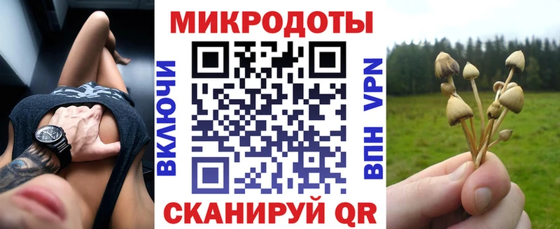 Галлюциногенные грибы Psilocybine cubensis мориарти клад Чернушка продажа наркотиков